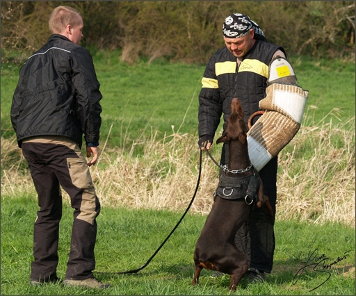 Training in Prague Spring 2008