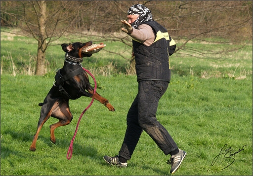 Training in Prague Spring 2008