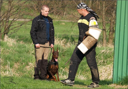 Training in Prague Spring 2008