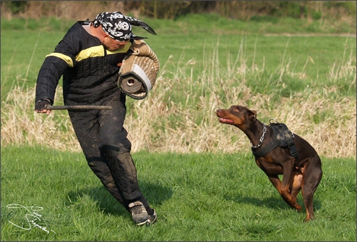 Training in Prague Spring 2008