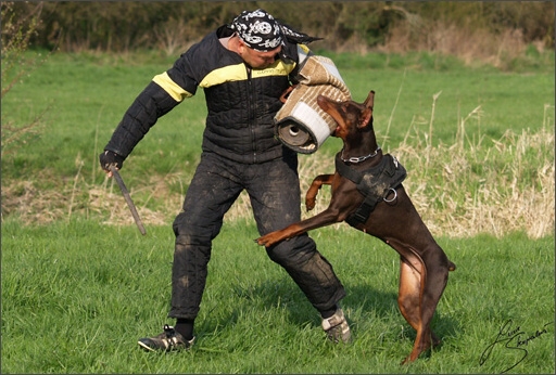 Training in Prague Spring 2008