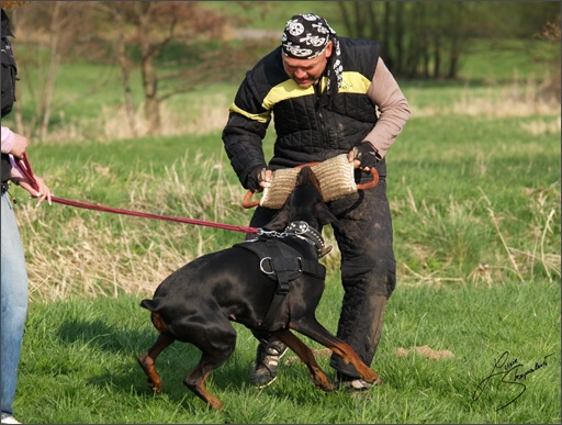 Training in Prague Spring 2008