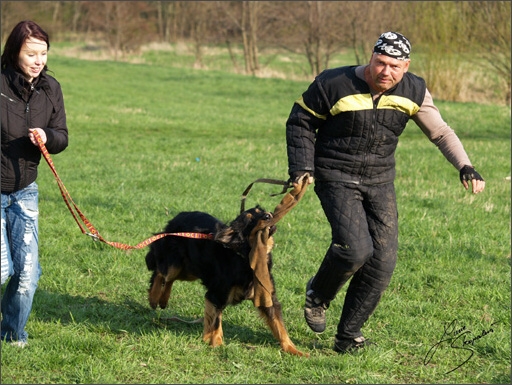 Training in Prague Spring 2008