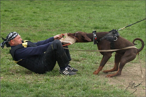 Training in Prague Spring 2008