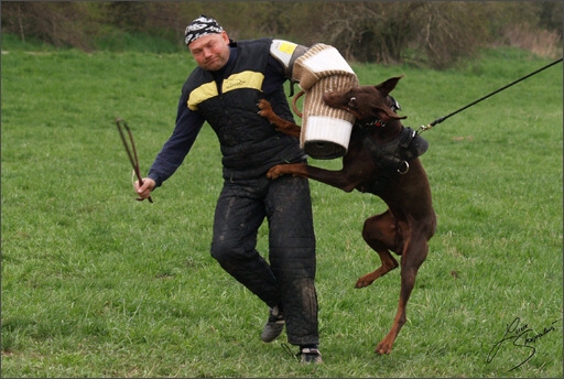 Training in Prague Spring 2008