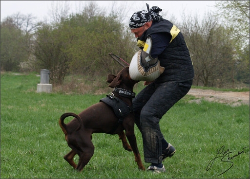 Training in Prague Spring 2008