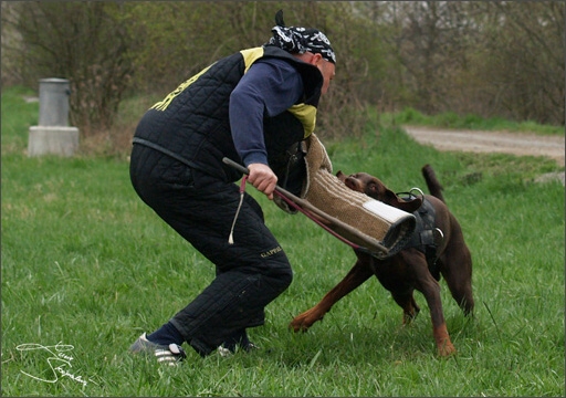 Training in Prague Spring 2008