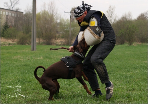 Training in Prague Spring 2008