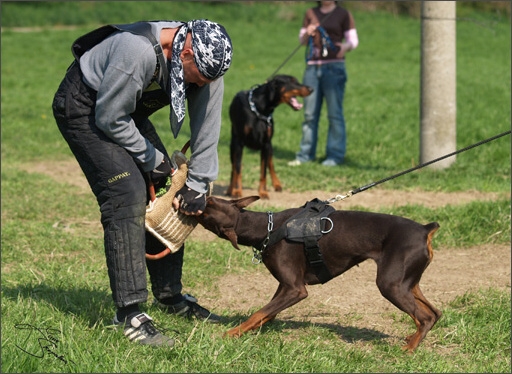 Training in Prague Spring 2008