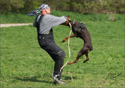 Training in Prague Spring 2008