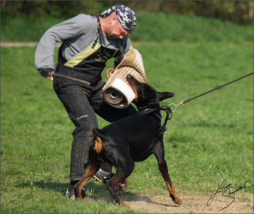 Training in Prague Spring 2008