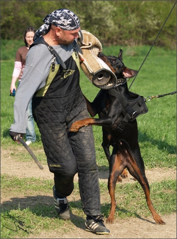 Training in Prague Spring 2008