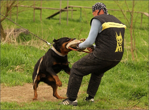 Training in Prague Spring 2008