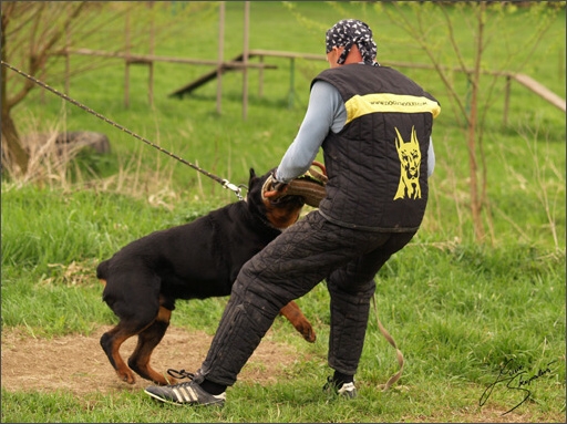 Training in Prague Spring 2008