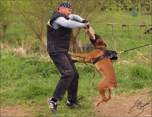 Training in Prague Spring 2008