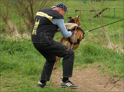 Training in Prague Spring 2008