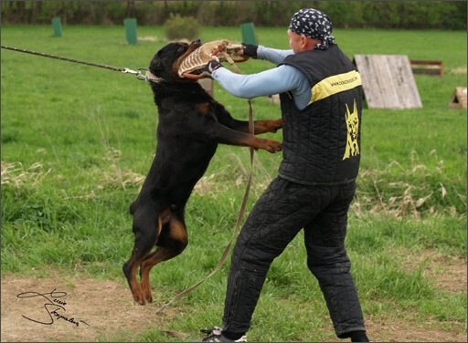 Training in Prague Spring 2008