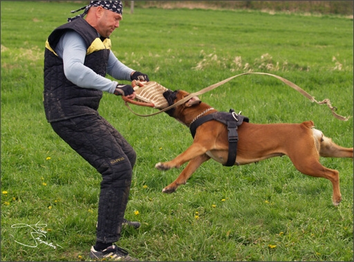 Training in Prague Spring 2008