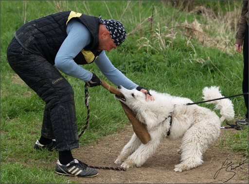 Training in Prague Spring 2008