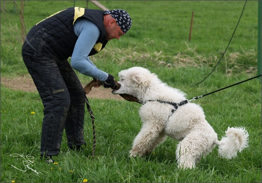 Training in Prague Spring 2008