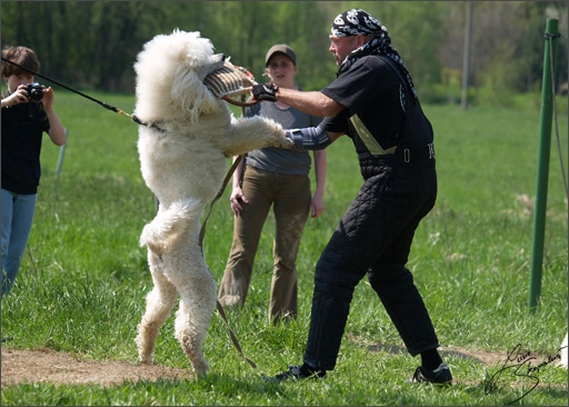 Training in Prague Spring 2008