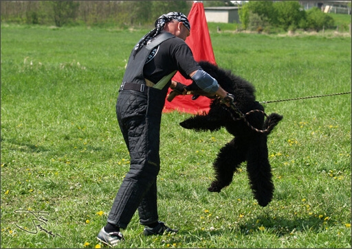 Training in Prague Spring 2008