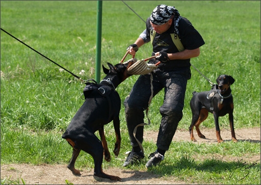 Training in Prague Spring 2008