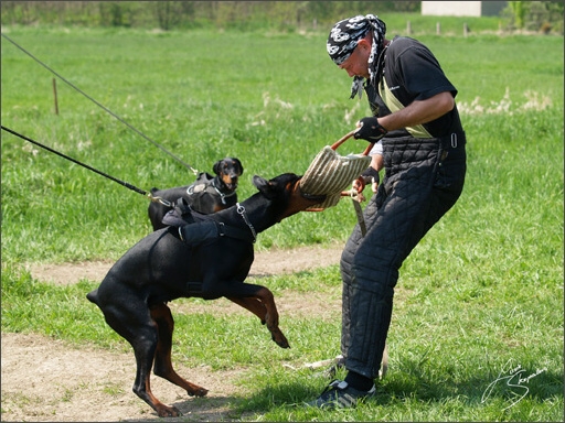 Training in Prague Spring 2008