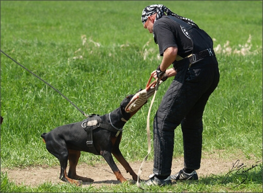 Training in Prague Spring 2008