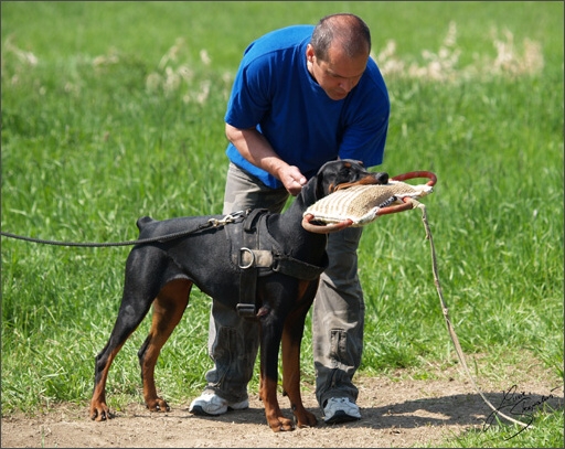 Training in Prague Spring 2008