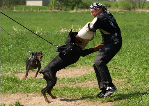 Training in Prague Spring 2008