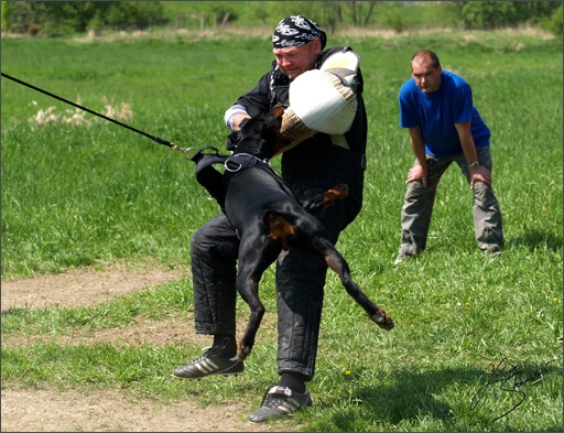 Training in Prague Spring 2008