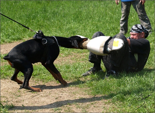 Training in Prague Spring 2008