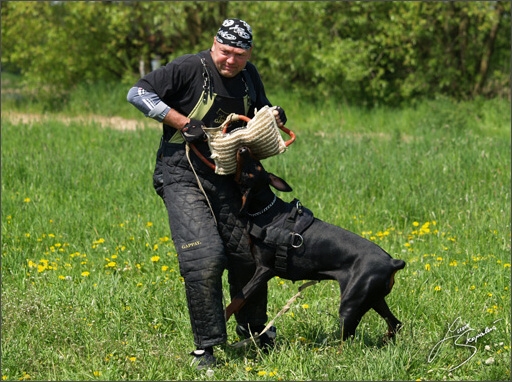 Training in Prague Spring 2008