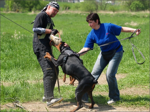 Training in Prague Spring 2008