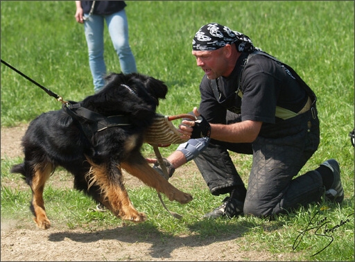 Training in Prague Spring 2008