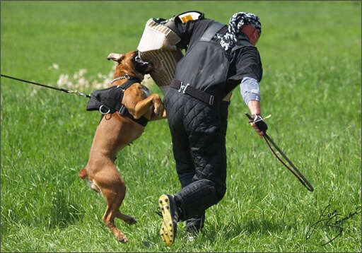 Training in Prague Spring 2008