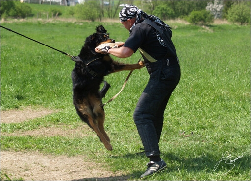 Training in Prague Spring 2008