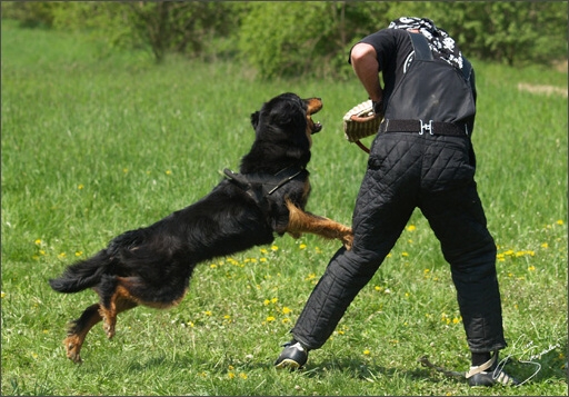 Training in Prague Spring 2008