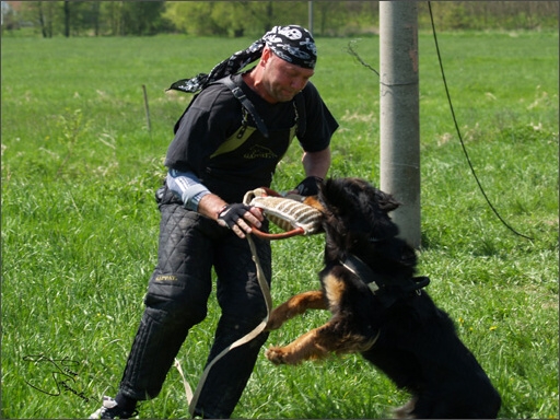 Training in Prague Spring 2008