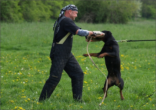 Training in Prague Spring 2008