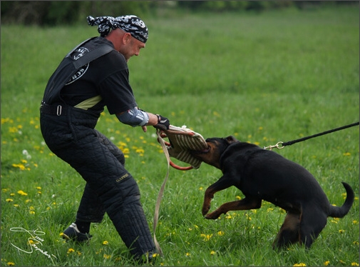 Training in Prague Spring 2008