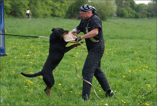 Training in Prague Spring 2008