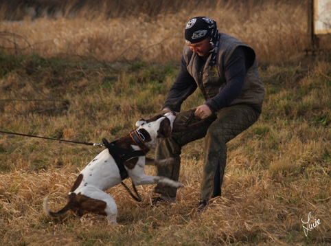 Training 1/2007