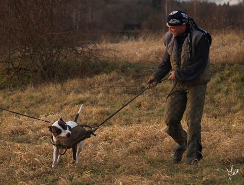 Training 1/2007