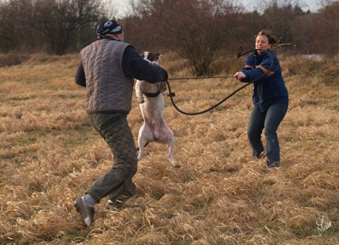 Training 1/2007