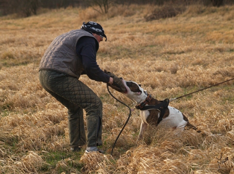 Training 1/2007