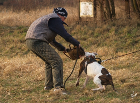 Training 1/2007