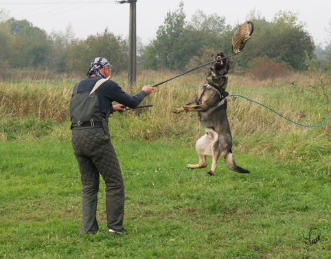 Training in Prague - defence - 10/2006