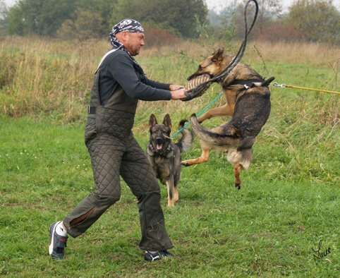 Training in Prague - defence - 10/2006